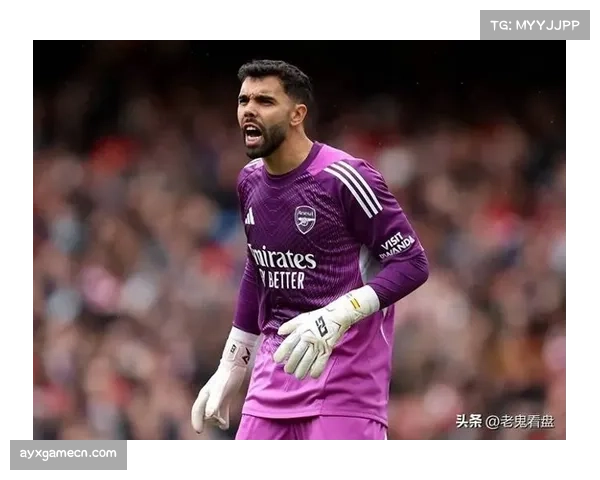阿森纳门将拉亚表现稳健，场均扑救1.9次全英超最少